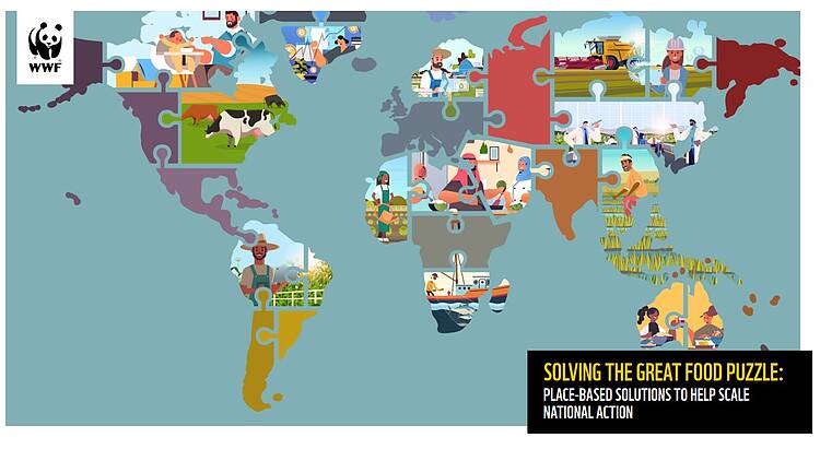 Analizamos los sistemas alimentarios de más de 100 países