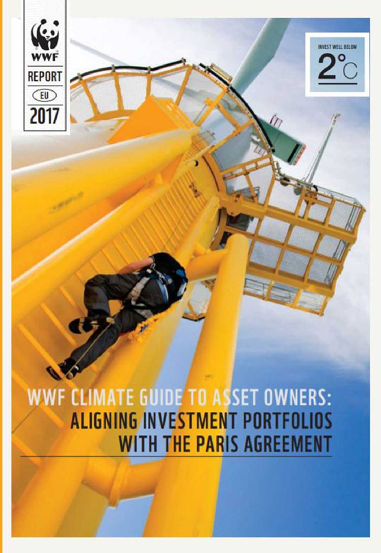 Topline recommendations WWF climate guide to asset owners: Aligning investment portfolios with The Paris Agreement 