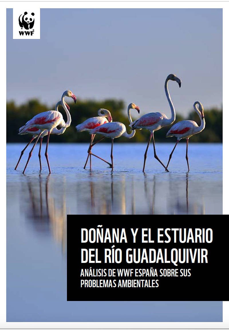 Portada: Análisis de los problemas ambientales de Doñana y el Estuario del Gudalquivir.