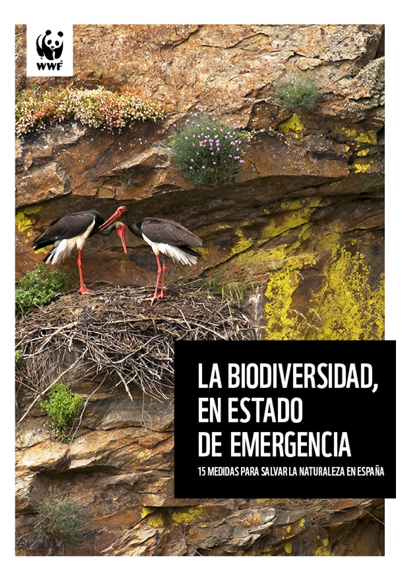 Portada del informe La biodiversidad en estado de emergencia. Quince medidas para salvar la naturaleza en España