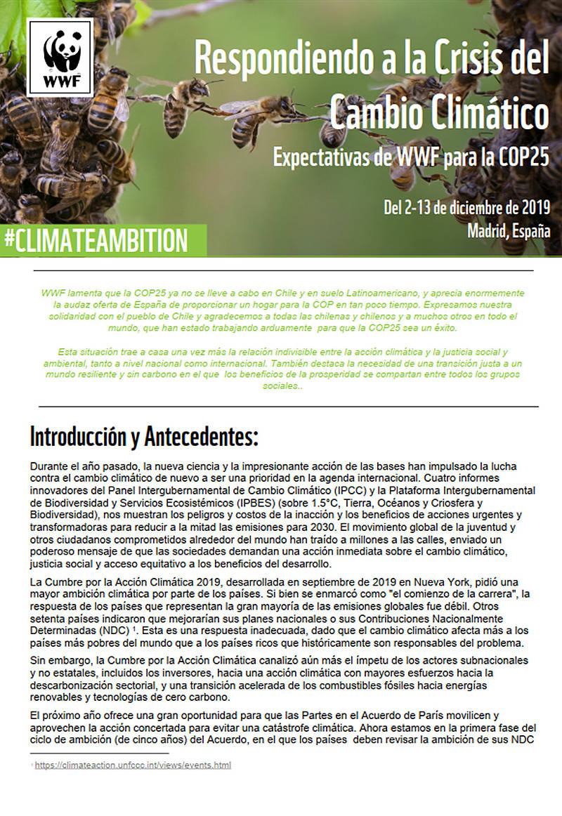 Expectativas de WWF para la COP25
