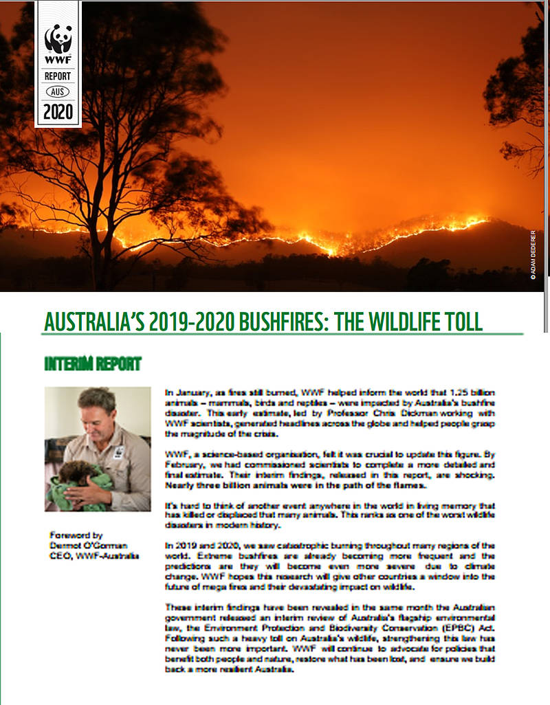 Portada informe Australian Bushfires The Wildlife Toll