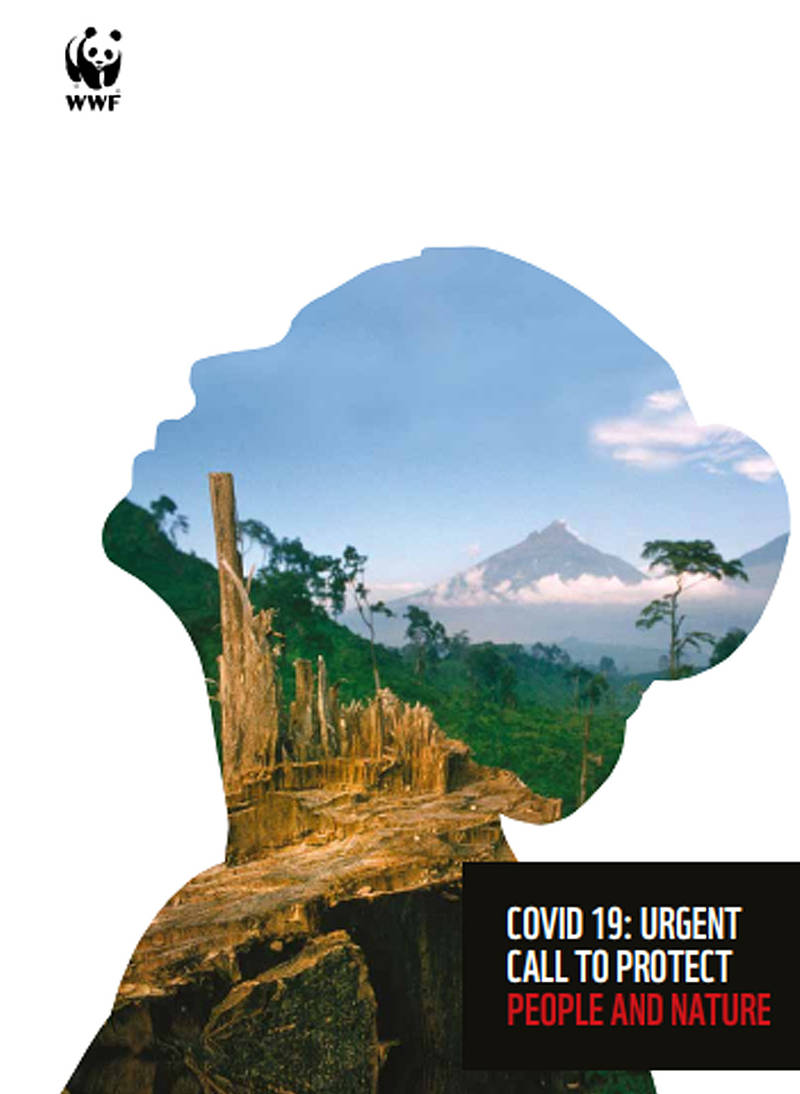 Portada Informe Covid19 Llamada urgente para la protección de la naturaleza y las personas