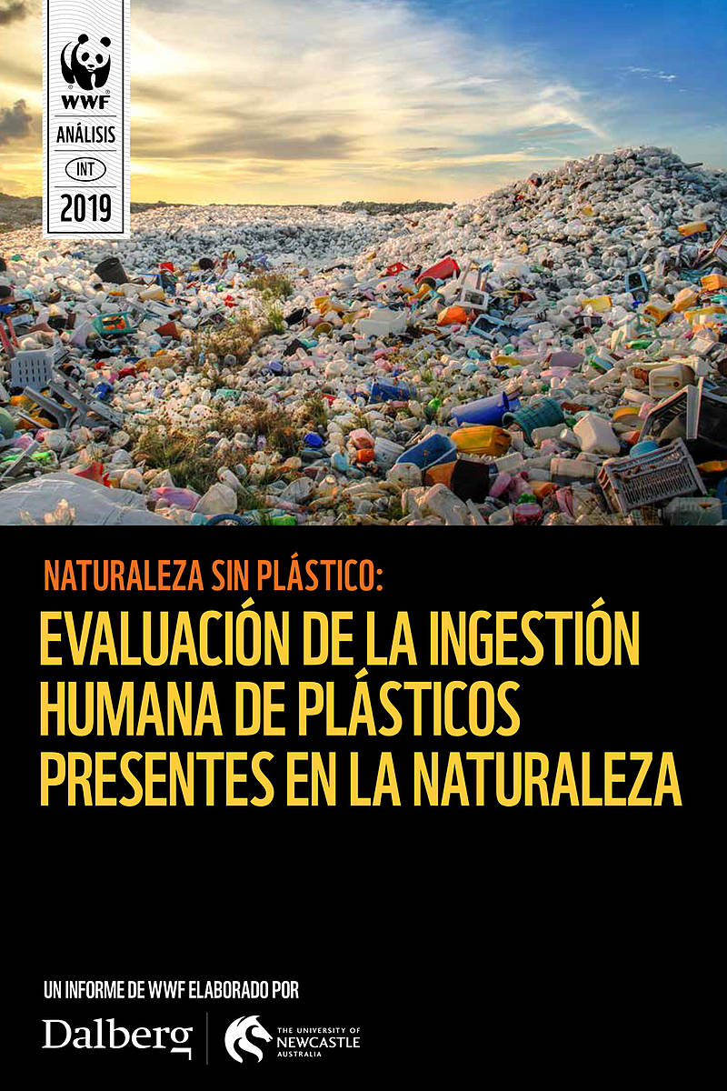 Informe junio 2019: análisis sobre la ingestión humana de plásticos presentes en la naturaleza