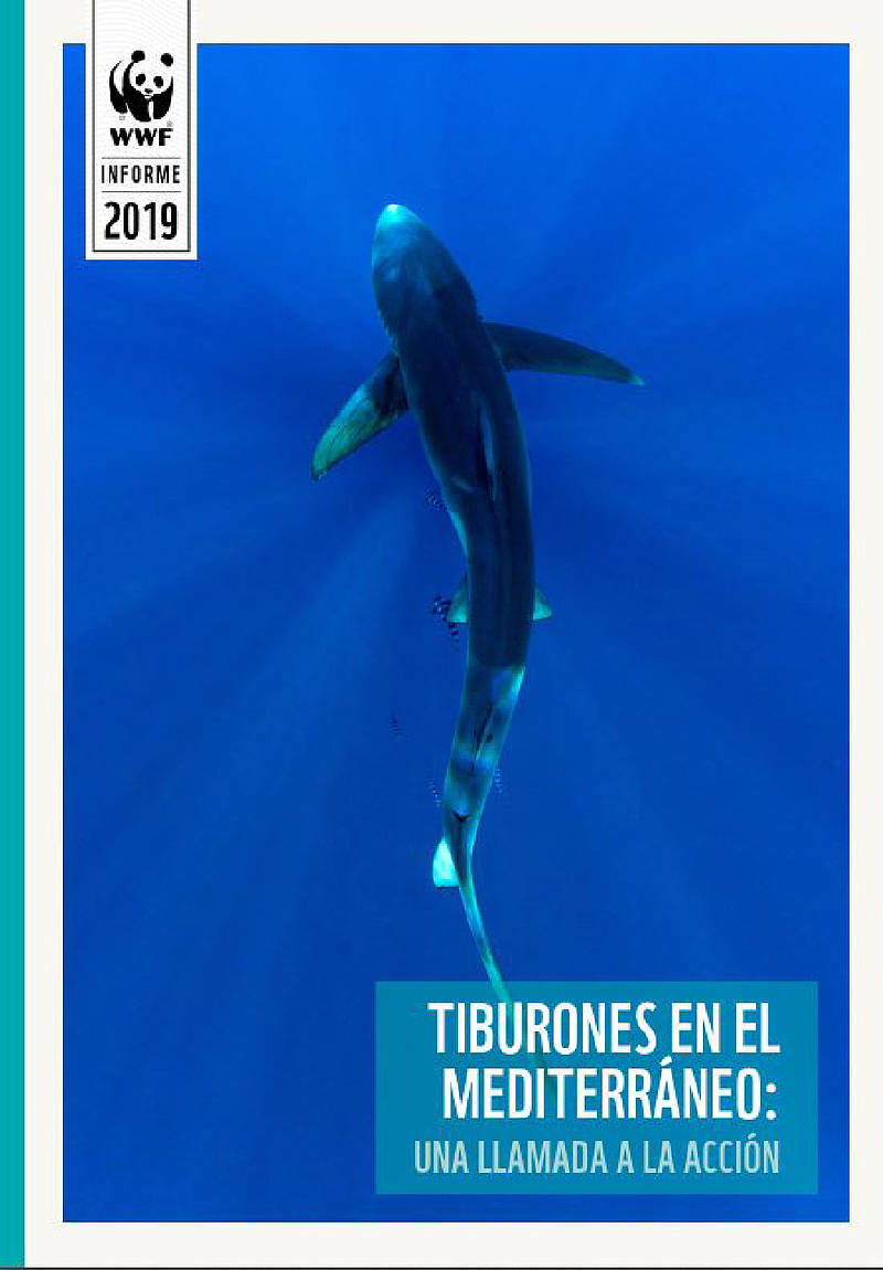 Portada del Informe Tiburones y rayas en el Mediterráneo (julio 2019)