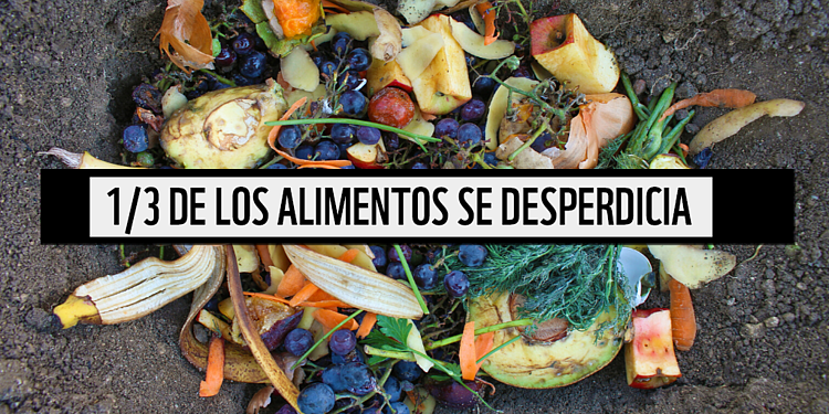 La tercera parte de todos los alimentos producidos se desperdicia