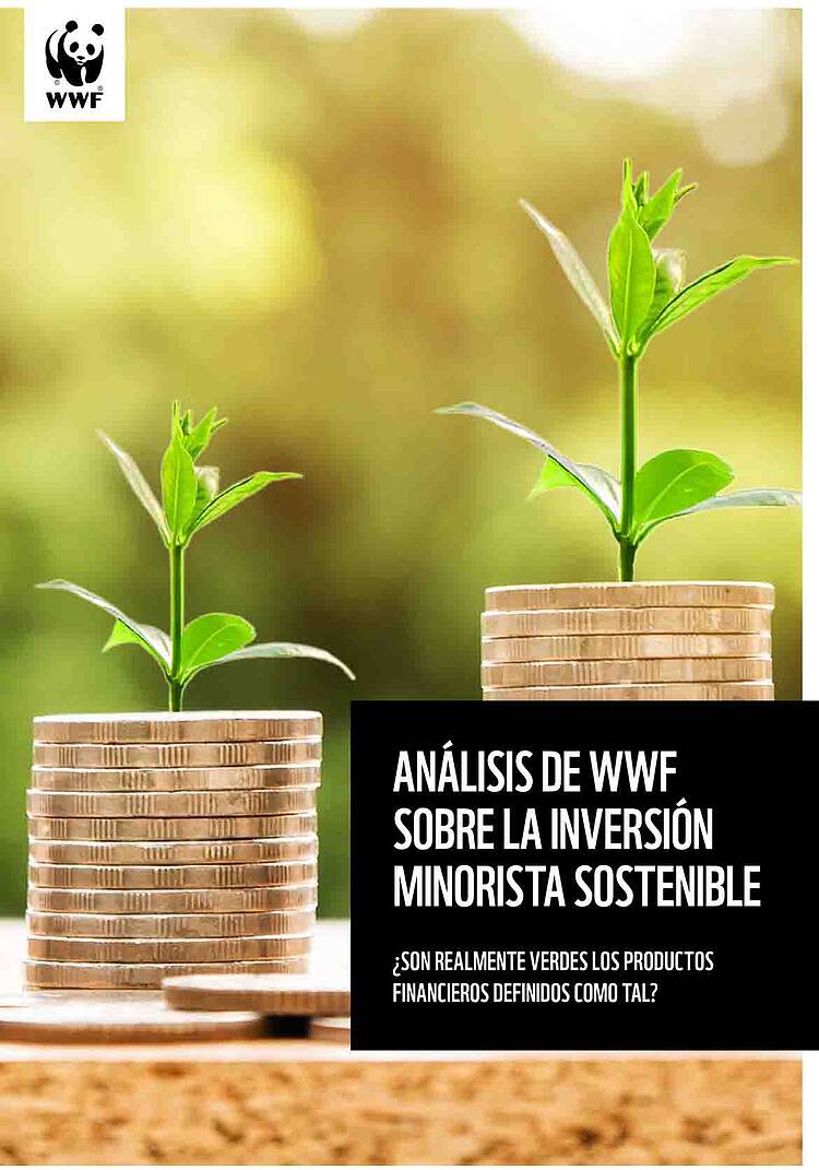 Análisis de WWF sobre la inversión minorista sostenible. ¿Son realmente verdes los productos financieros definidos como tal?