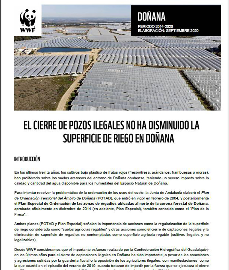 Informe Pozos Ilegales Lucena del Puerto 2020