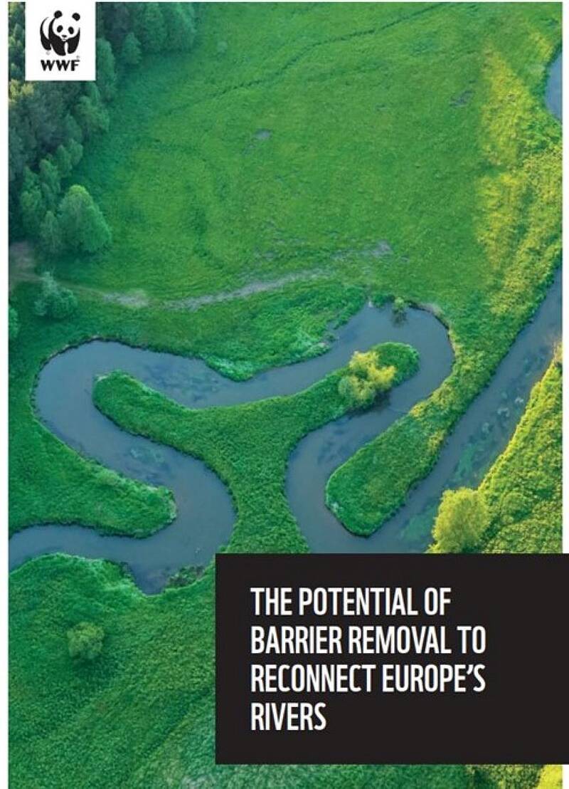 Informe The potential of barrier removal