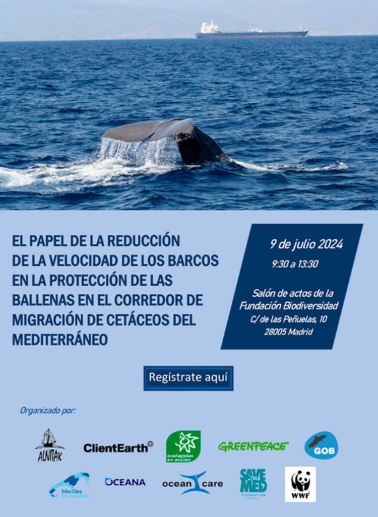 Presentación de los resultados del análisis del tráfico marítimo en la Zona Marina Especialmente Sensible (ZMES) del Mediterráneo Noroccidental