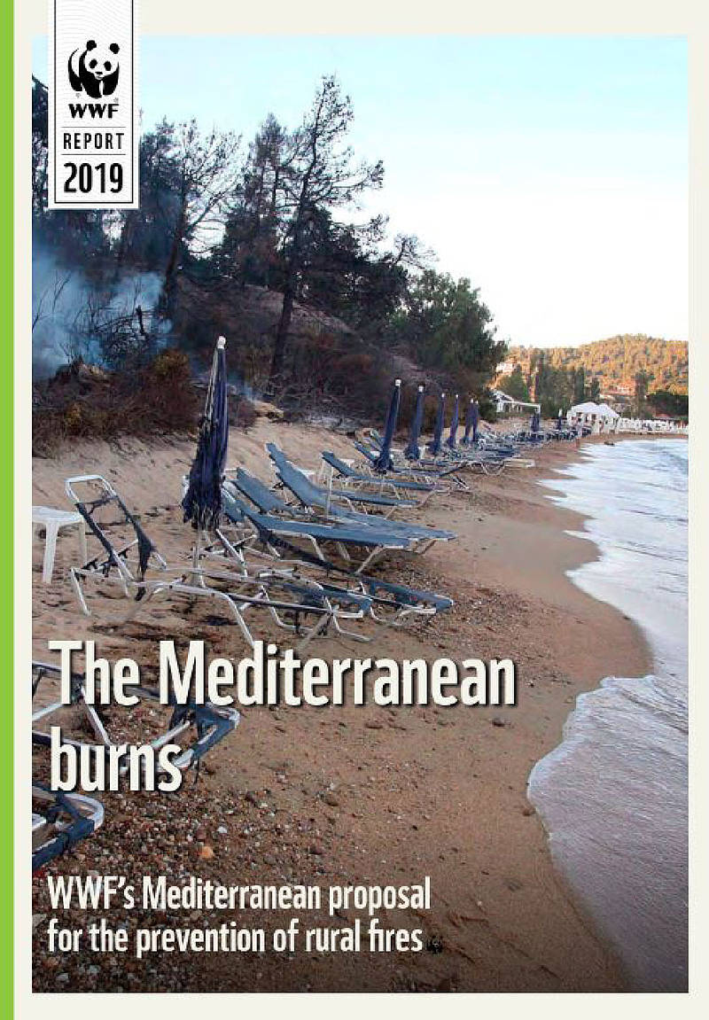 The Mediterranean Burns (Report rural fires)