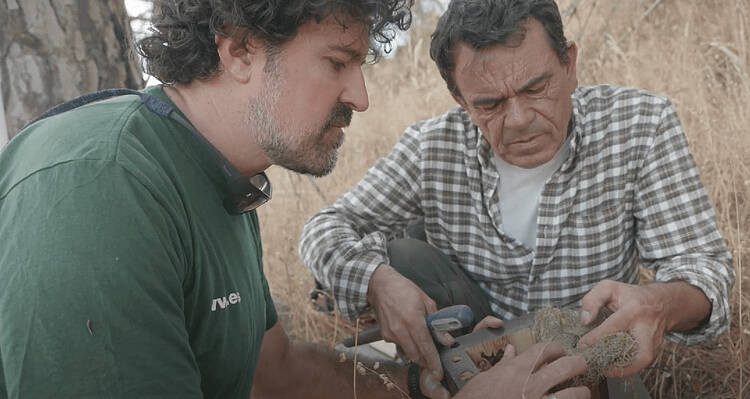 Más éxitos en el proyecto de restauración de Doñana con las cajas nido