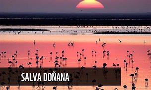 SALVA DOÑANA