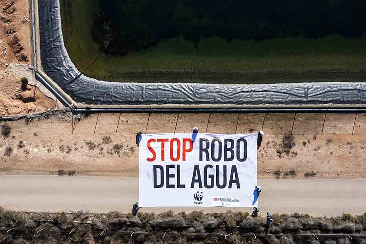 Stop Robo Del Agua_Mar Menor_ 