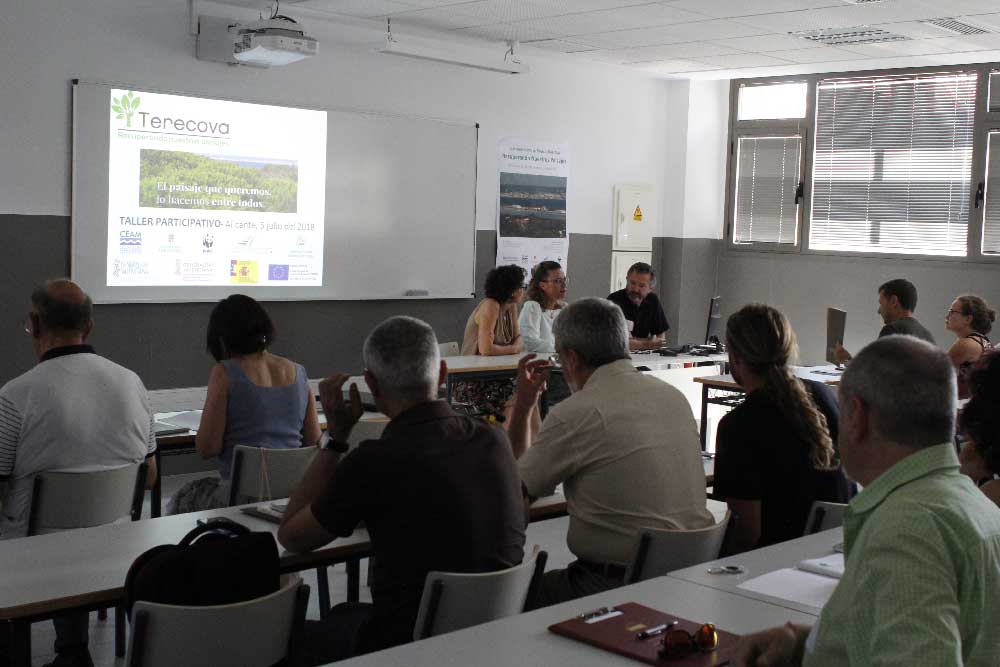 Proyecto Terecova (taller participativo)