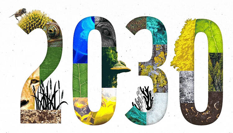 Celebramos el Acuerdo mundial de la COP 15 para revertir la pérdida de naturaleza en 2030