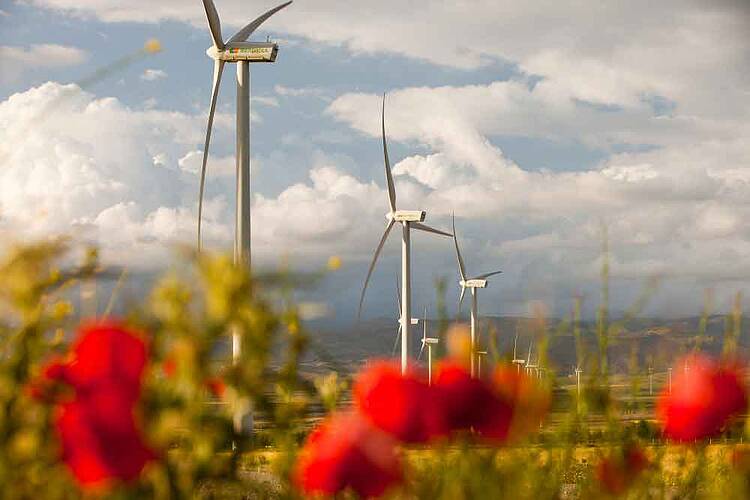 El PNIEC incrementa su ambición climática, pero sigue sin estar en línea con un escenario que limite el incremento medio de la temperatura a 1,5ºC