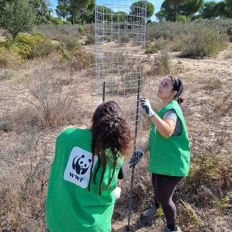 Voluntariado en Doñana 2021 