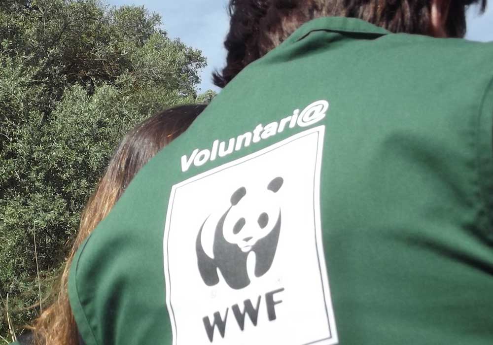 Voluntario WWF