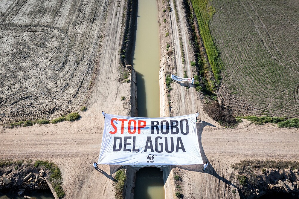 Stop Robo del agua Doñana