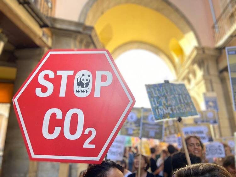 COP29: un momento crucial para desbloquear la acción climática