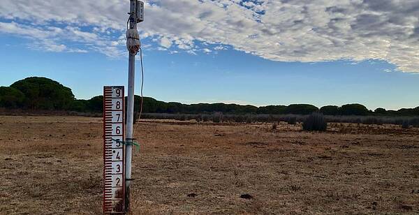 El agua, nuestro bien más valioso