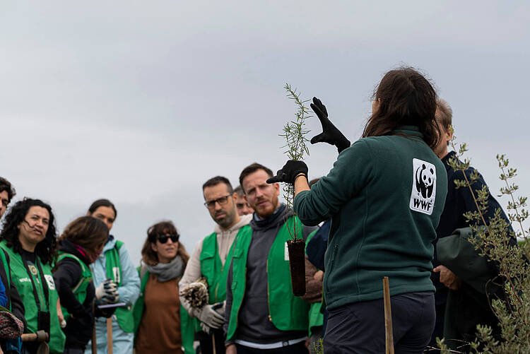 Nueva actividad de voluntariado dentro del proyecto de restauración en Doñana